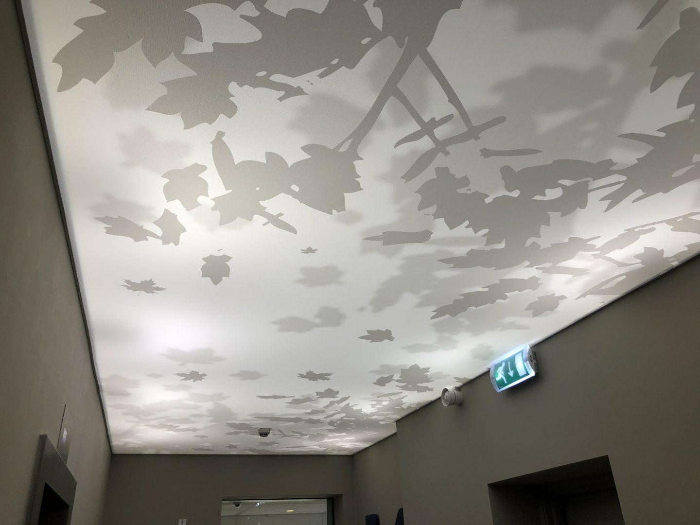 Toepassing van spanplafond met print